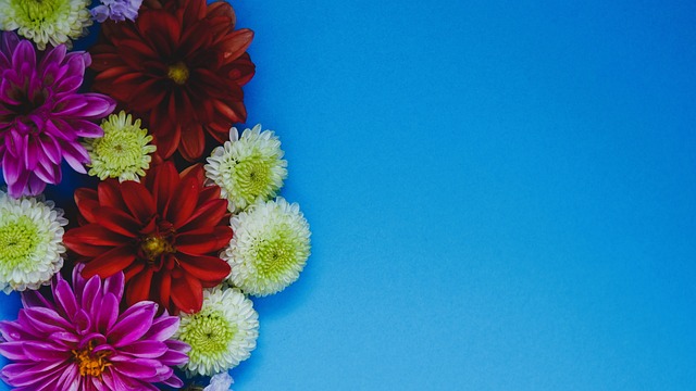 五子登科 五子登科