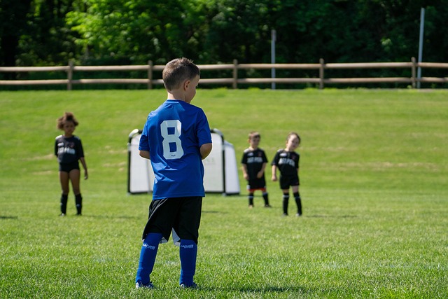 队注入了新 队注入了新