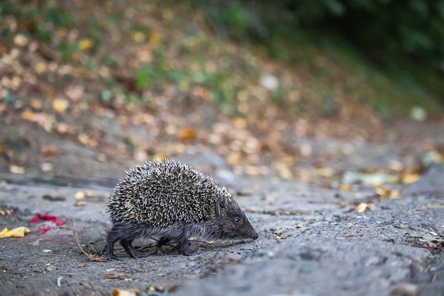 国足防线的 国足防线的