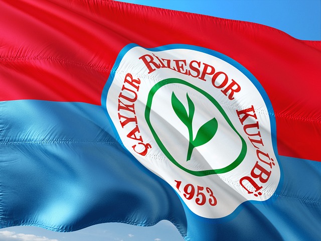 對曼聯今後 對曼聯今後