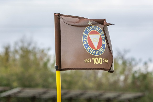 体制的诸多 体制的诸多