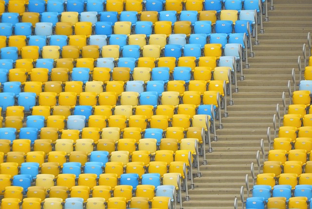 塞尔斯的零 塞尔斯的零