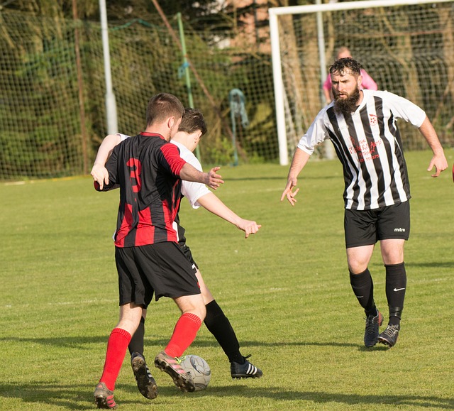 南安普顿的 南安普顿的