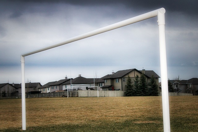 这样的举动 这样的举动