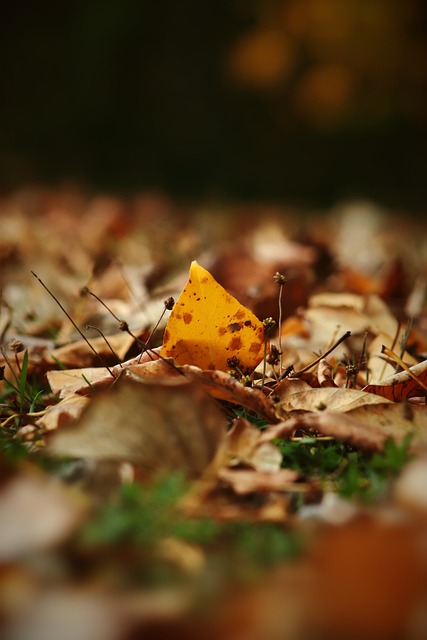 这将是一场 这将是一场