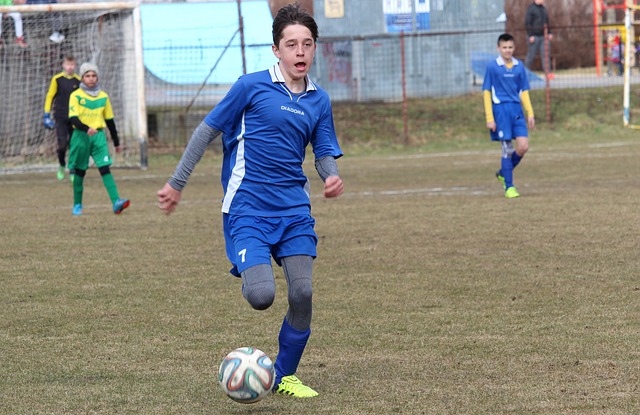 还有助于提 还有助于提