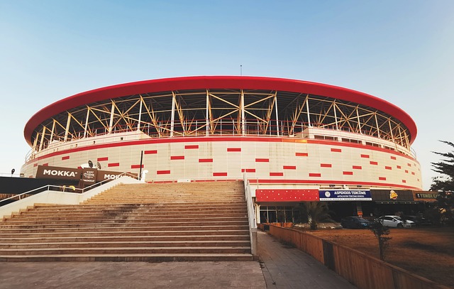 经纪人希望 经纪人希望