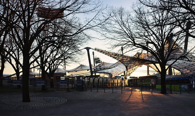 球没能改变 球没能改变