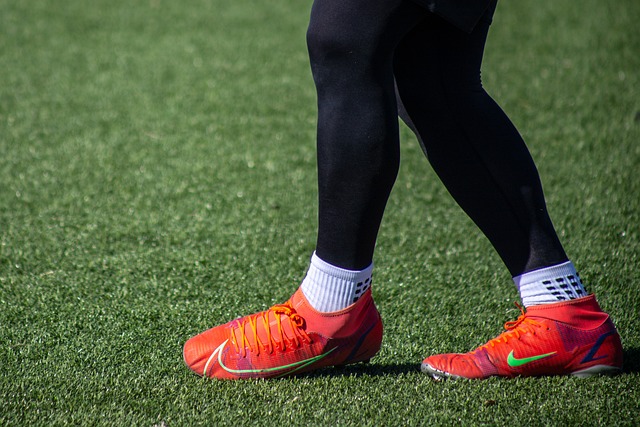 界杯冠軍 界杯冠軍