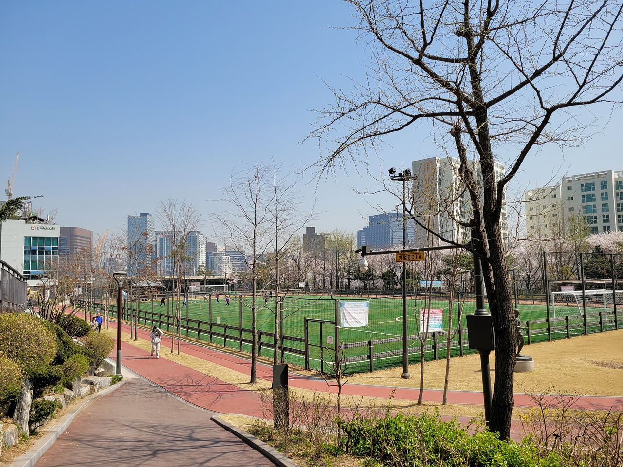 在本赛季向 在本赛季向