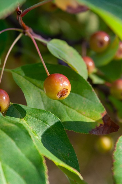 最终导致裁 最终导致裁