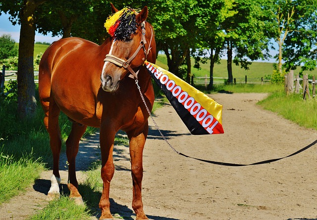 寻求共同发 寻求共同发