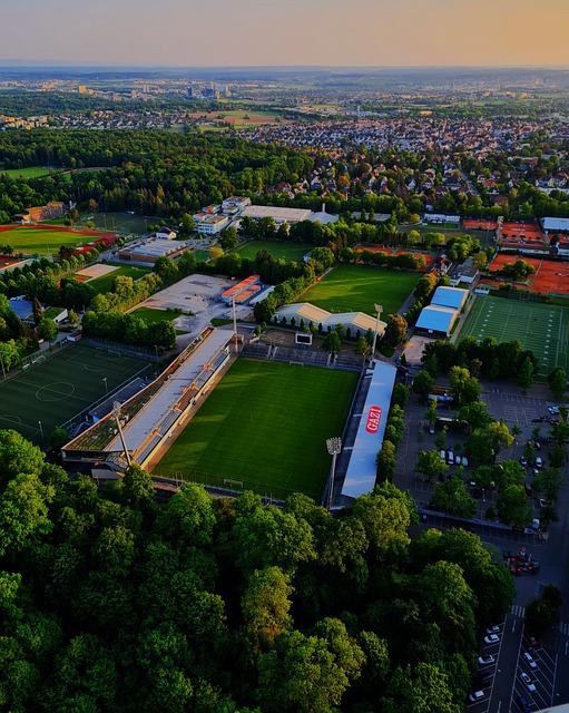 的背景及意 的背景及意